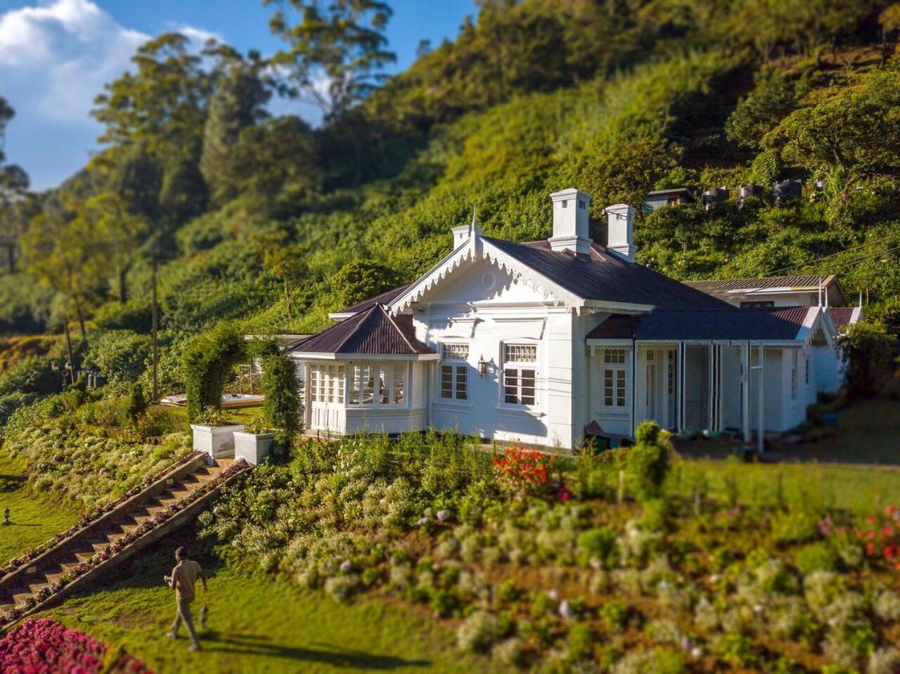 The Clovelly Bungalow Нувара-Элия Экстерьер фото